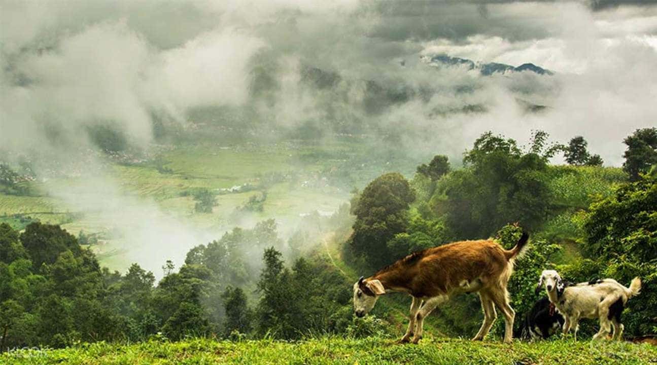 Nagarkot Day Hike1