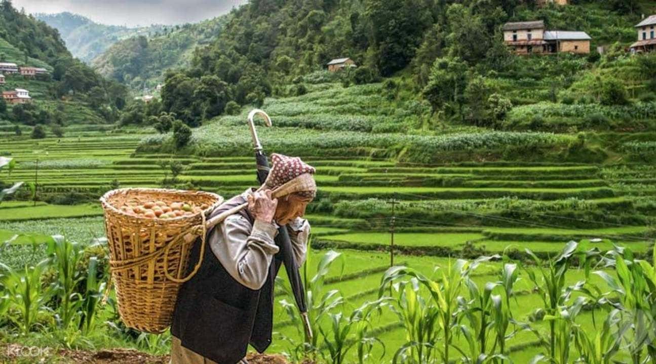 Nagarkot Day Hike4
