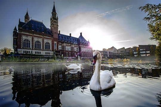 Family walking tour in The Hague with a guide