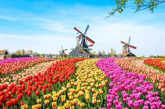 Zaanse Schans walking self-guided audio tour