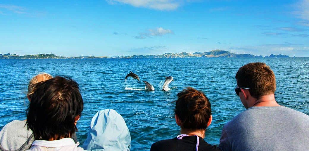 Bay of Islands Scenic Cruise - 3 Hours