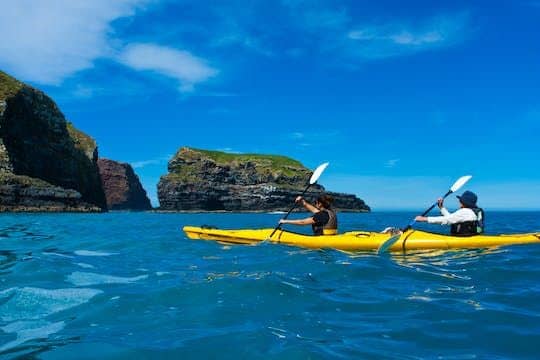 Early bird scenic kayak safari tour