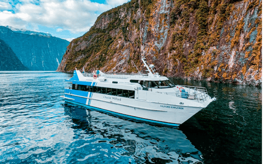 Milford Sound boutique small boat day cruise