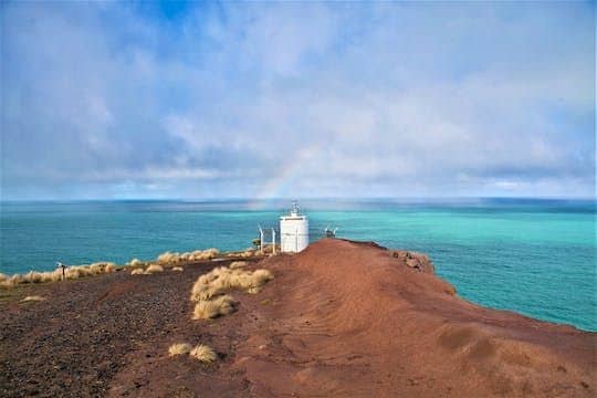 Scenic nature safari half-day tour