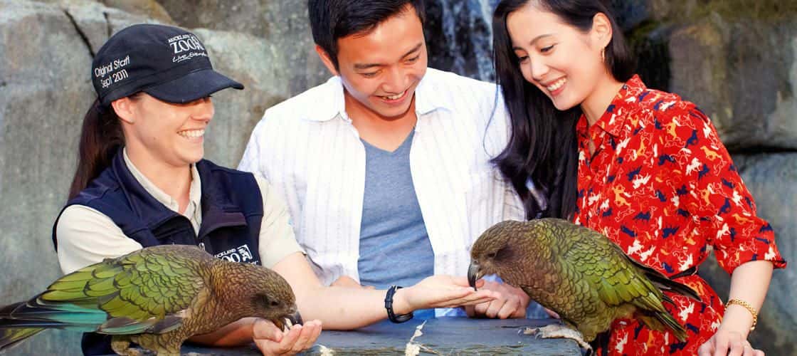 SEA LIFE Kelly Tarltons Aquarium and Auckland Zoo Package4