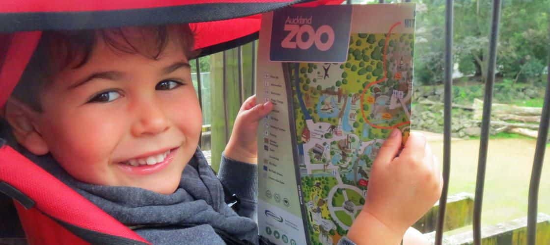 SEA LIFE Kelly Tarltons Aquarium and Auckland Zoo Package3
