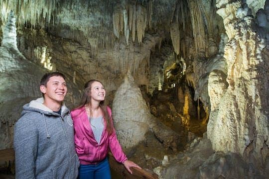 Triple cave experience - Waitomo Glowworm, Ruakuri and Aranui Cave