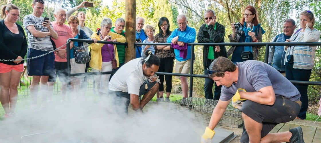 Waitangi Treaty Grounds Hangi Dinner and Concert with Admission