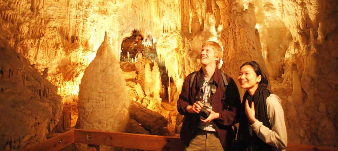 Waitomo Glowworm Caves and Aranui Cave