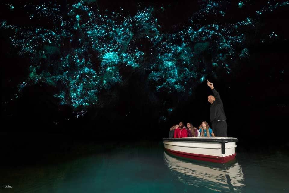Waitomo Glowworm Caves Guided Tour