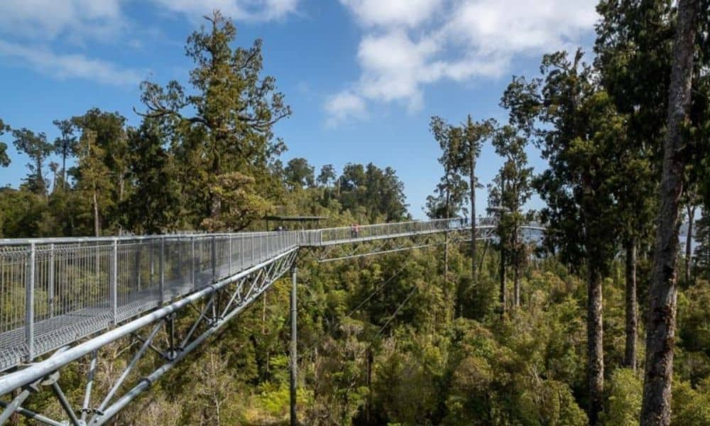 West Coast Treetop Walk in Hokitika