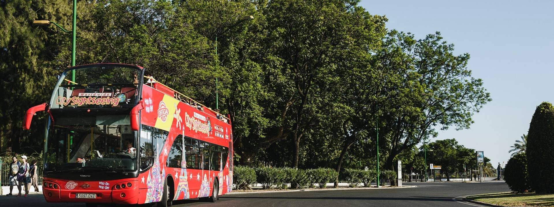 Alesund City Sightseeing Hop-On Hop-Off Bus Pass