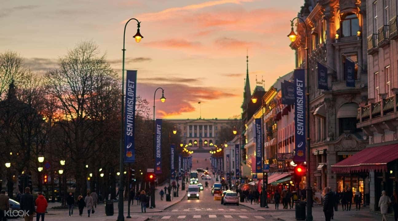 Oslo City Highlights Walking Tour1