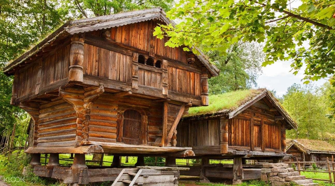 Oslo Folkemuseum and Viking Ships Museum Tour1