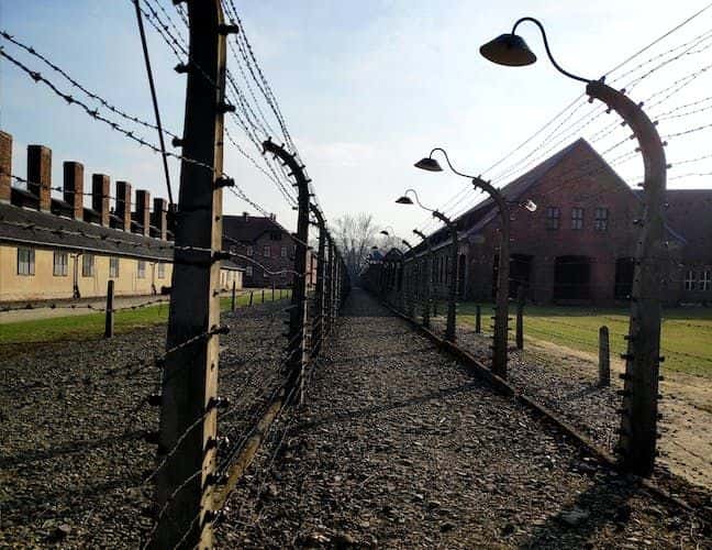 Auschwitz Birkenau and Wieliczka Salt Mine in one day from Krakow2