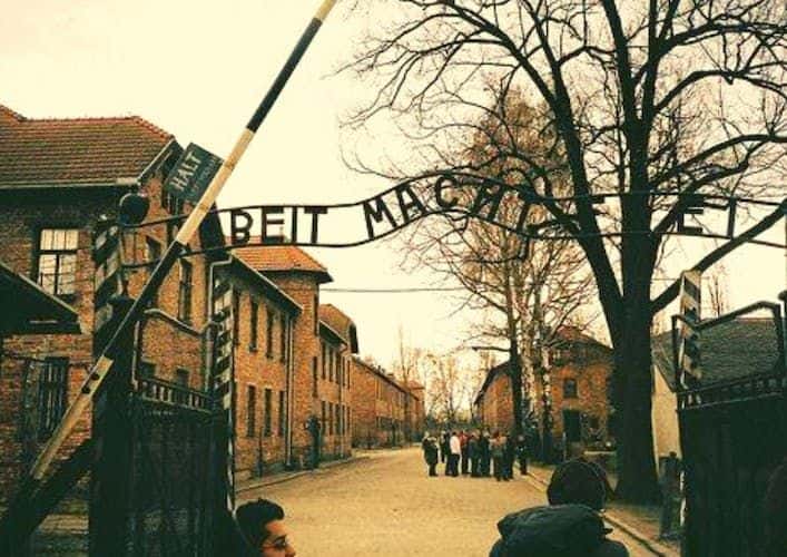 Auschwitz small group tour from Warsaw with pick-up and lunch1