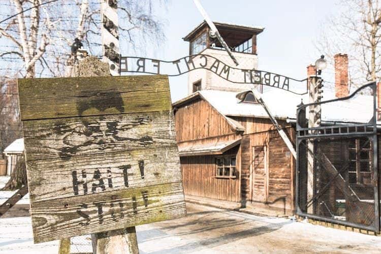 Auschwitz-Birkenau and Wieliczka Salt Mine plus lunch from Krakow2