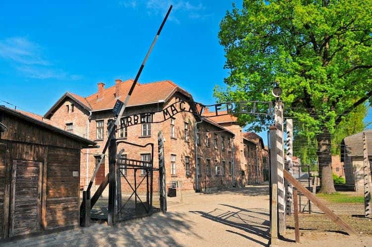 Auschwitz-Birkenau and Wieliczka Salt Mine plus lunch from Krakow4