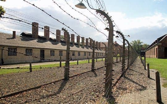 Auschwitz-Birkenau skip-the-line entrance ticket and official guided tour