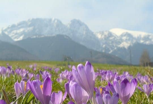 Day trip to Zakopane from Kraków with entrance to thermal pools