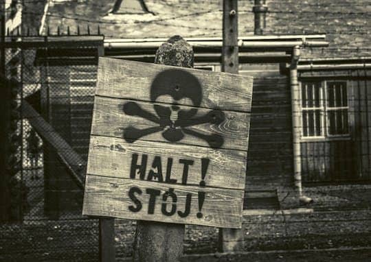 Krakow and Auschwitz small group tour from Warsaw with pick-up and lunch