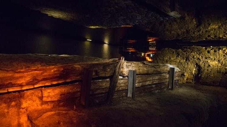 Wawel Castle, Cathedral and Rynek Underground guided tour with lunch4