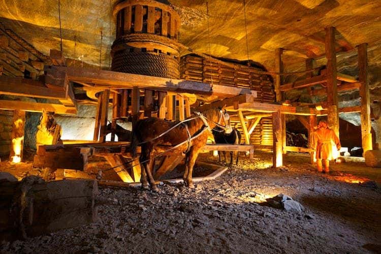 Wieliczka Salt Mine guided tour plus fast-track entrance3