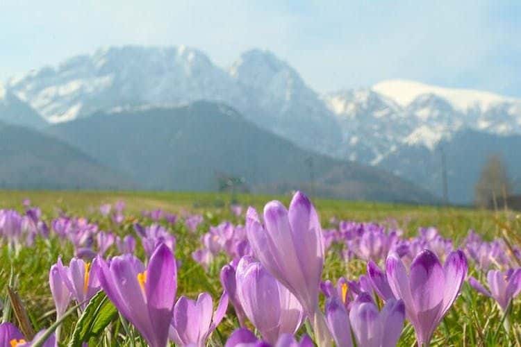 Zakopane and Tatra Mountains day tour from Krakow2