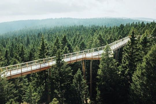 Cultural Centre of European Space Technologies and treetops walk
