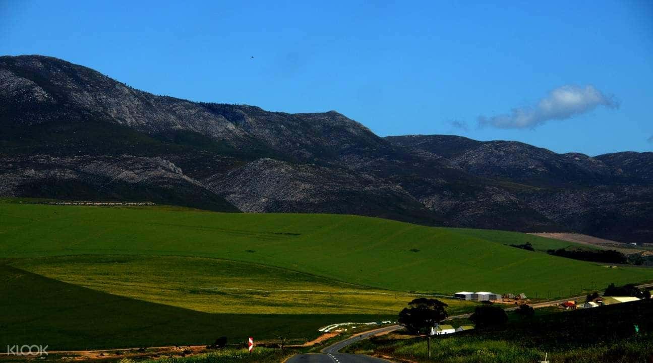 Cape Agulhas Full Day Tour from Cape Town1