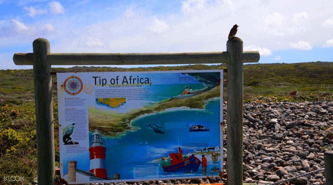 Cape Agulhas Full Day Tour from Cape Town3