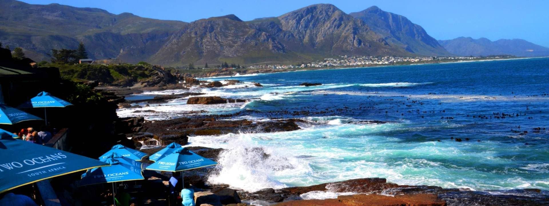 Cape Agulhas Full Day Tour from Cape Town
