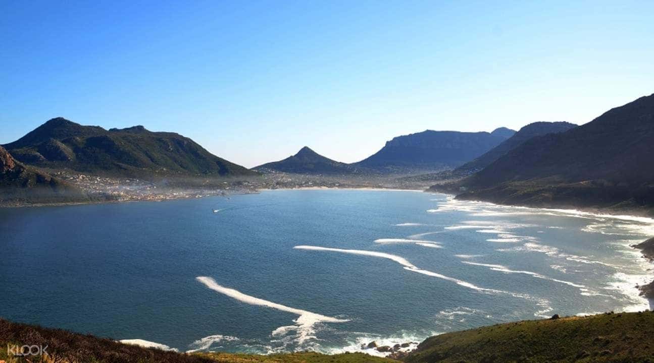 Cape Peninsula Half Day Tour1