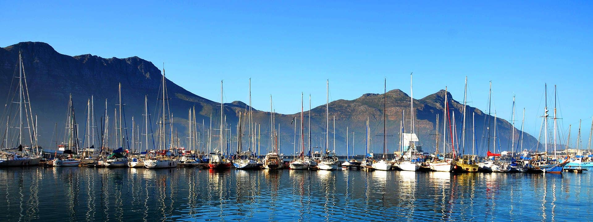 Cape Peninsula Half Day Tour