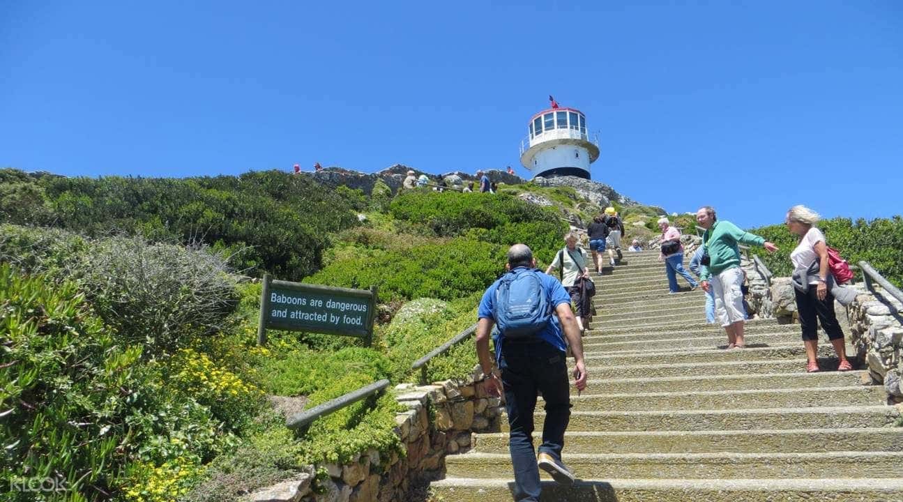 Cape Peninsula Half Day Tour2