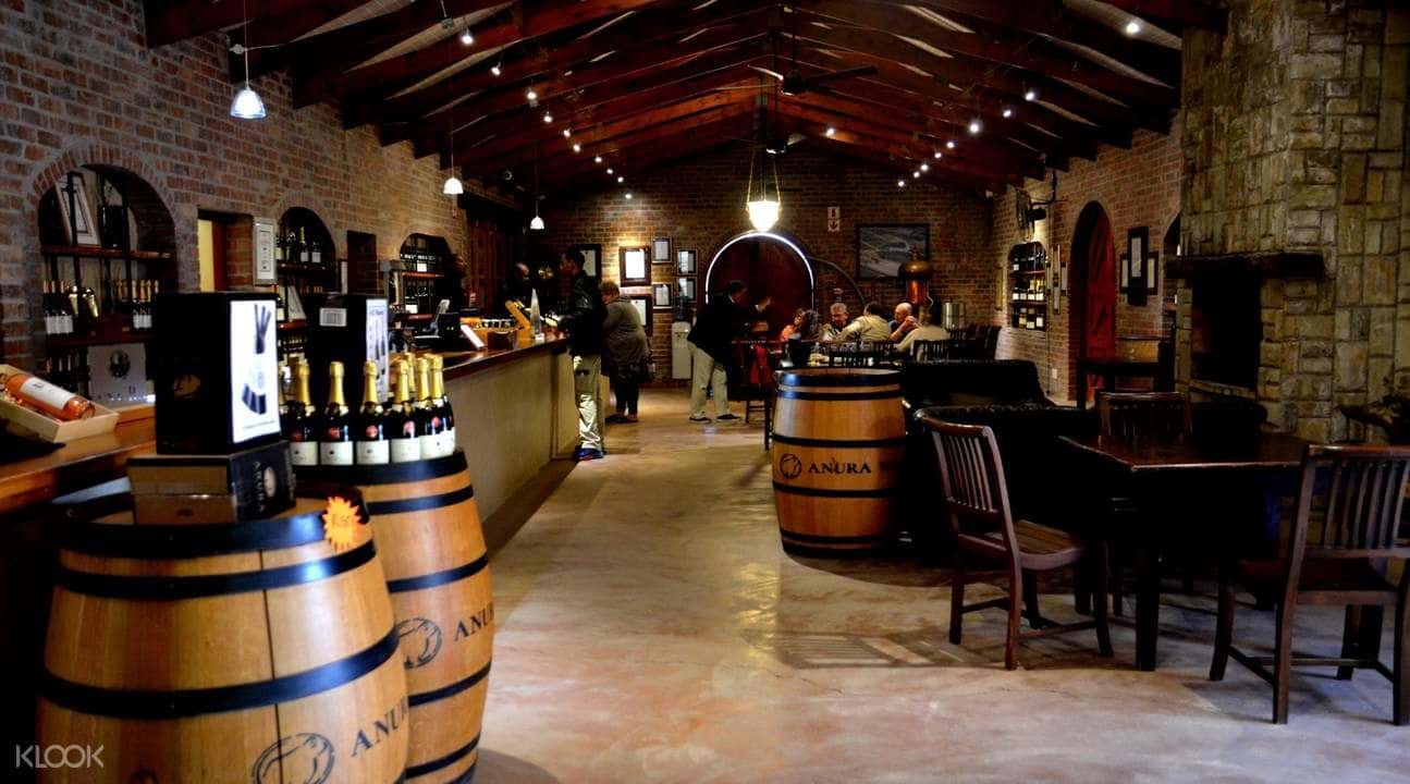 Cape Winelands Full Day Tour from Cape Town1