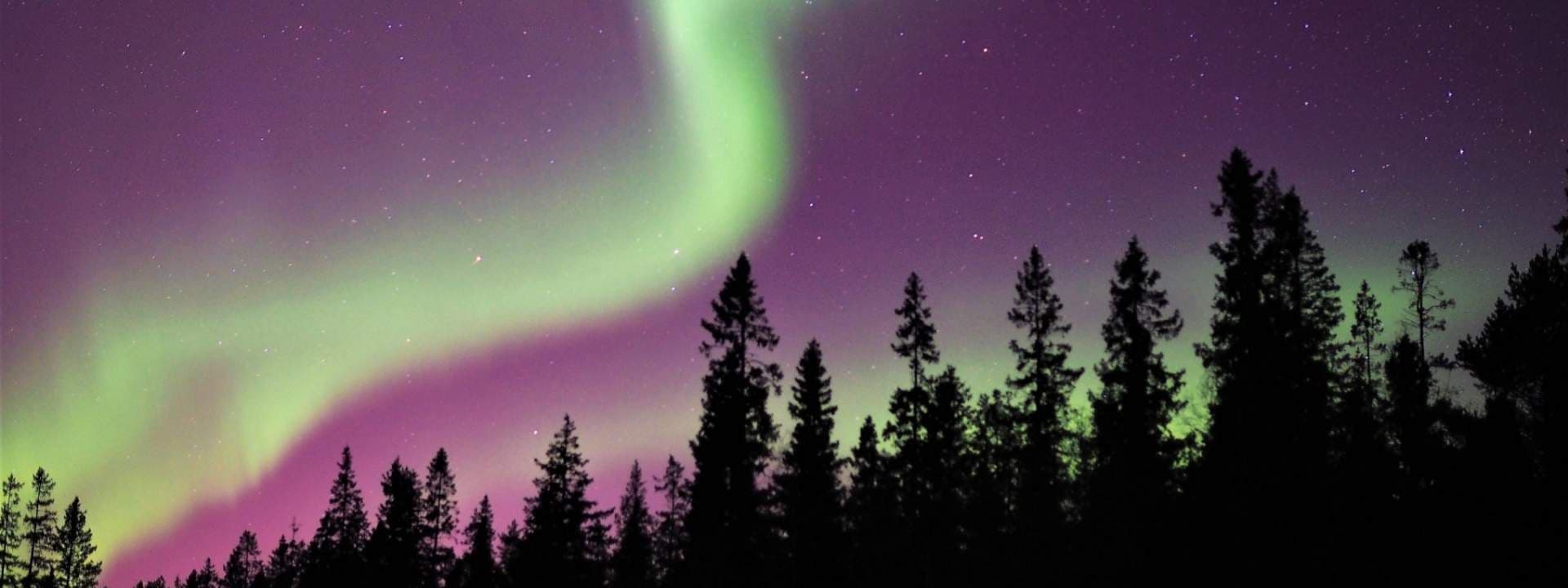 Northern Lights Tour in Lulea