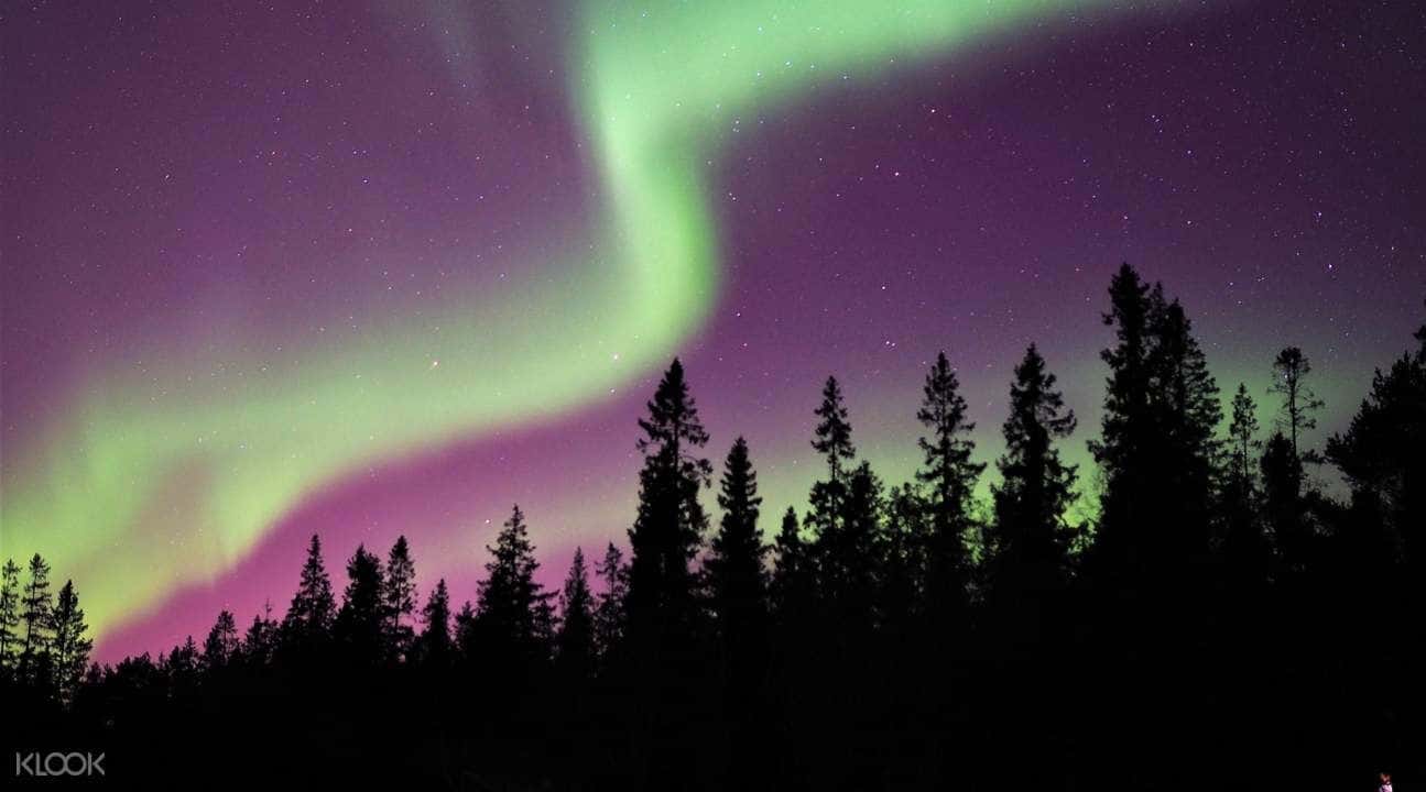 Northern Lights Tour in Lulea1