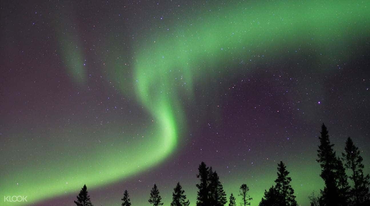 Northern Lights Tour in Lulea3