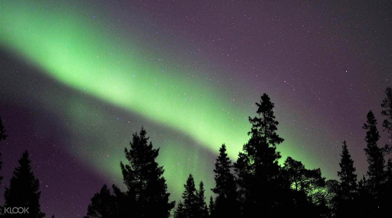 Northern Lights Tour in Lulea2