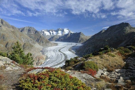 Aletsch Arena round-trip cable car ticket to View Point Moosfluh