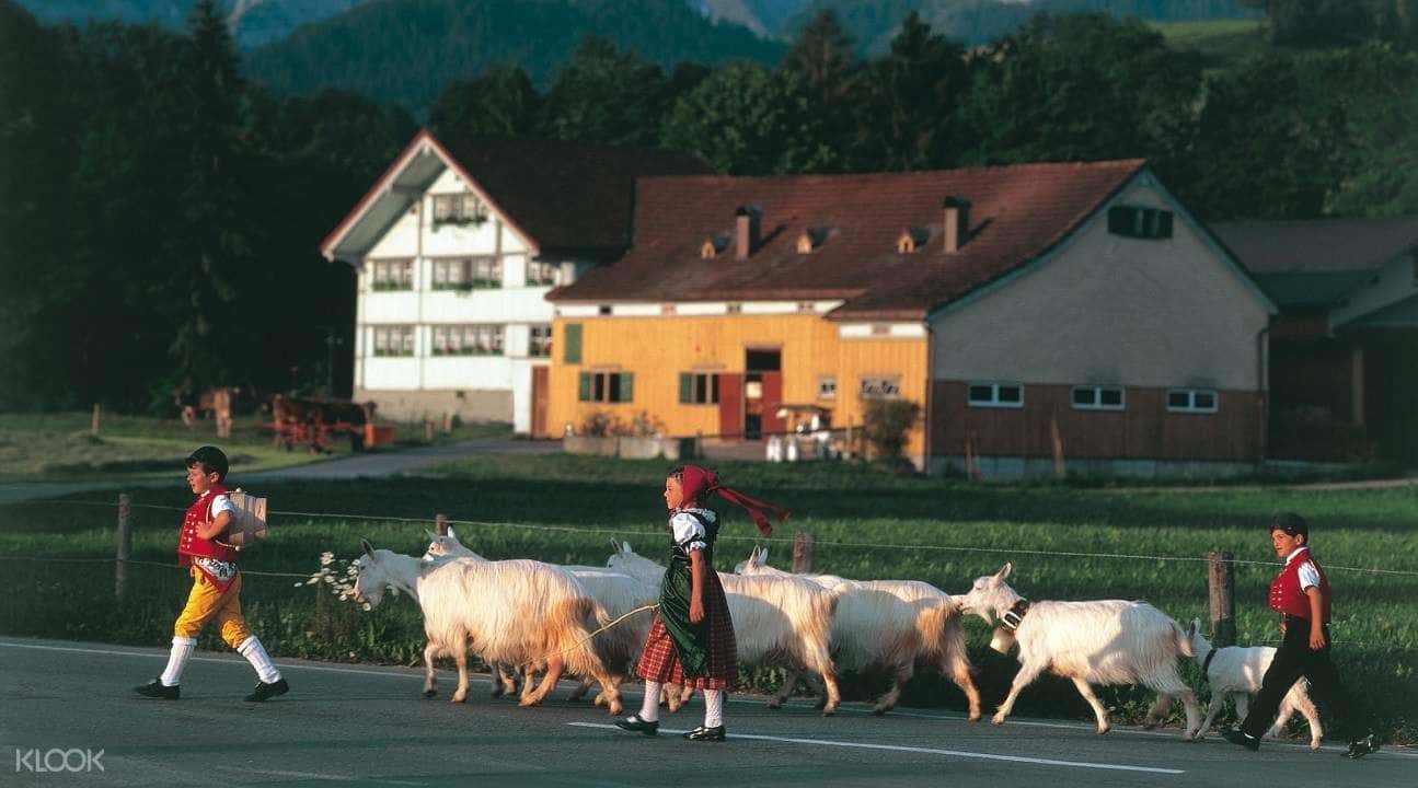 Appenzell Swiss Traditions Tour from Zürich2
