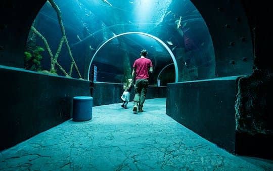 AQUATIS Aquarium-Vivarium entrance tickets