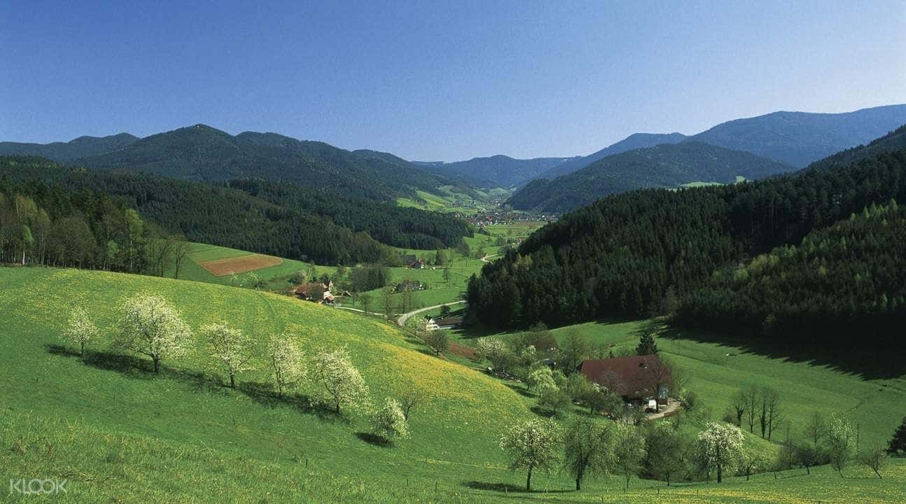 Black Forest, Titisee, and Rhine Falls Day Tour from Zurich1