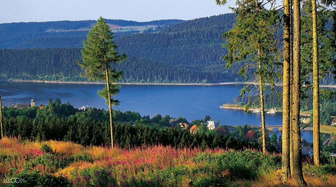 Black Forest, Titisee, and Rhine Falls Day Tour from Zurich3