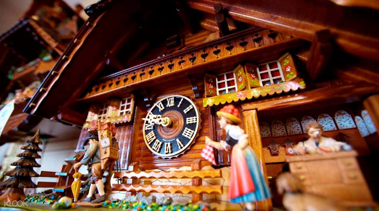 Black Forest, Titisee, and Rhine Falls Day Tour from Zurich2