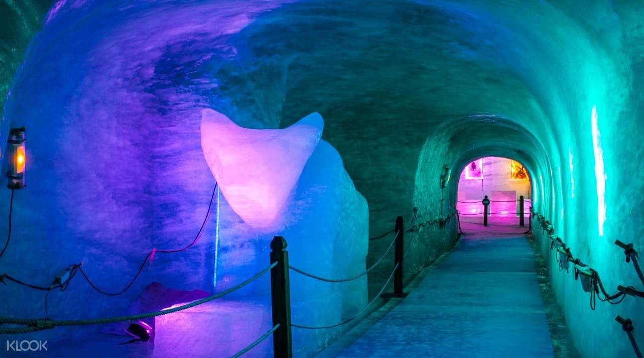 Chamonix Mont Blanc Day Tour from Geneva4