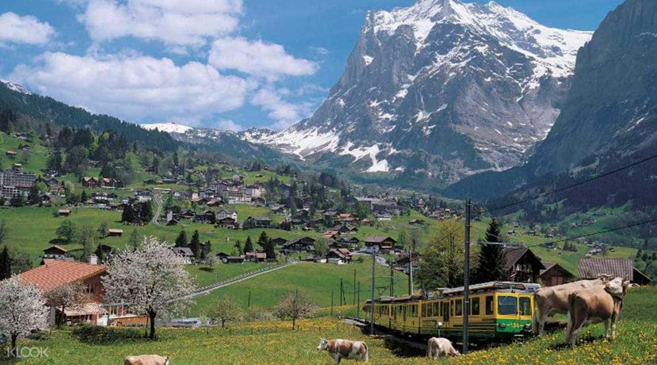 Day Trip to Grindelwald and Interlaken from Lucerne2