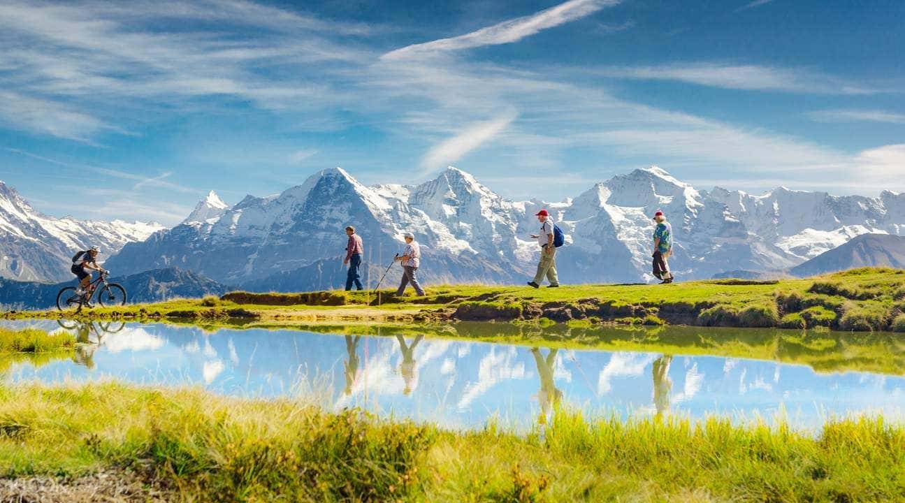 Day Trip to Grindelwald and Interlaken from Lucerne1