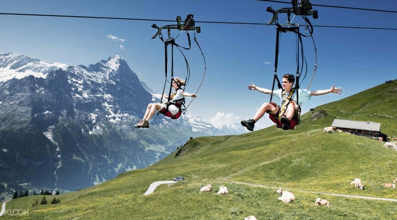 Day Trip to Mount First with the First Flyer from Lucerne4